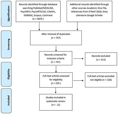 The Impact of THC and CBD in Schizophrenia: A Systematic Review